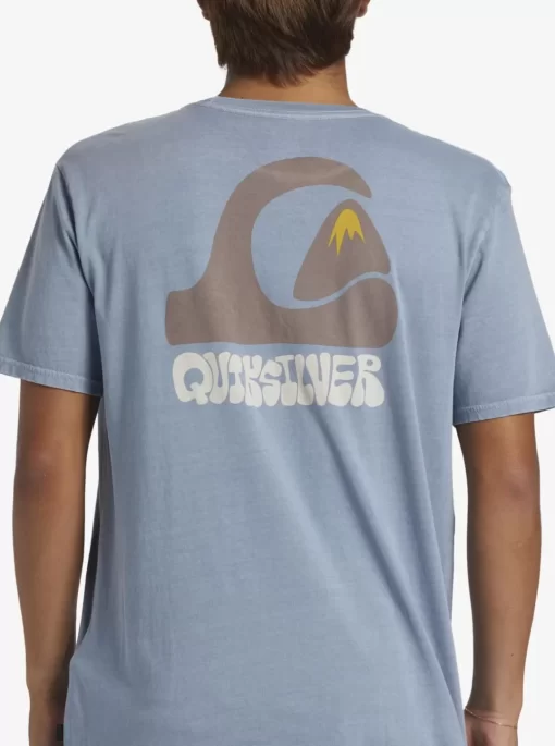 Mens Quiksilver Tees | Andy Y Andy T-Shirt