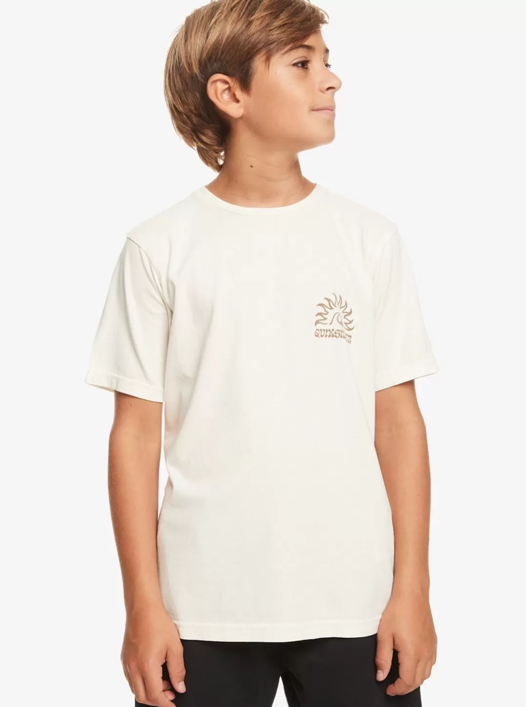 boys_816_earthy_type_tshirt_2.webp Boys Quiksilver Tees | Boy'S 8-16 Earthy Type T-Shirt