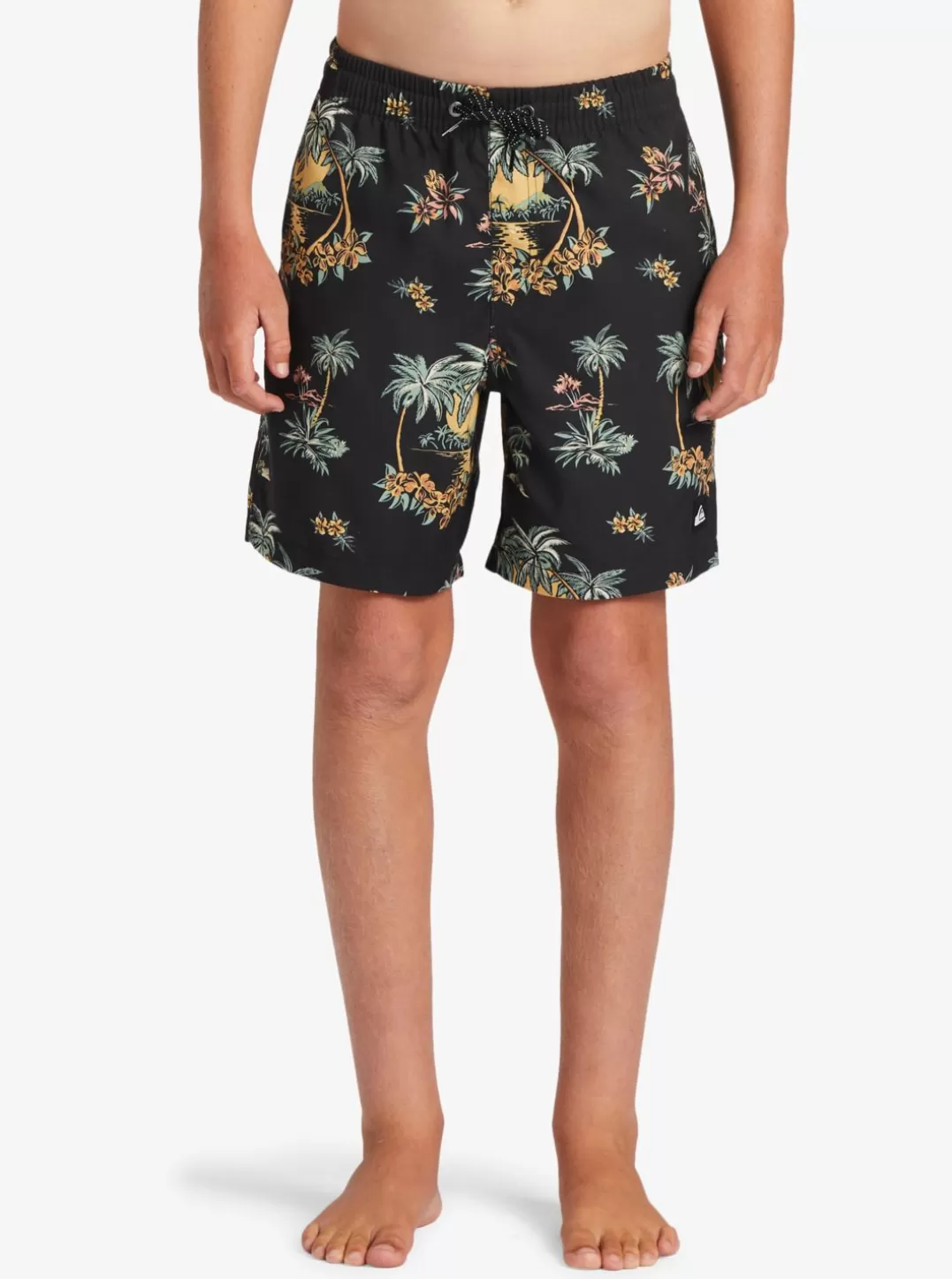 boys_816_everyday_mix_vl_15nb_elastic_waist_shorts_2-1.webp Mens Quiksilver Boardshorts | Boy'S 8-16 Everyday Mix Vl 15Nb Elastic Waist Shorts