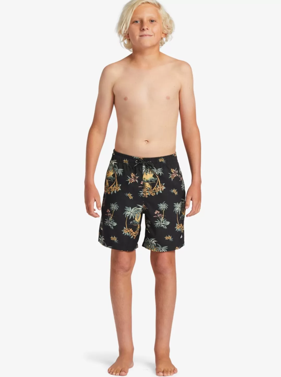 boys_816_everyday_mix_vl_15nb_elastic_waist_shorts_7-1.webp Mens Quiksilver Boardshorts | Boy'S 8-16 Everyday Mix Vl 15Nb Elastic Waist Shorts
