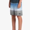 Boys Quiksilver Shorts | Boy'S 8-16 Everyday Slab 17 Boardshorts