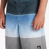 Boys Quiksilver Shorts | Boy'S 8-16 Everyday Slab 17 Boardshorts