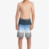 Boys Quiksilver Shorts | Boy'S 8-16 Everyday Slab 17 Boardshorts