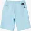 Boys Quiksilver Shorts | Boy'S 8-16 Ocean Elastic 18