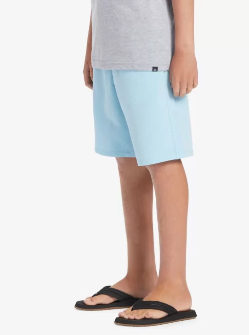 Boys Quiksilver Shorts | Boy'S 8-16 Ocean Elastic 18" Amphibian Boardshorts