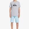 Boys Quiksilver Shorts | Boy'S 8-16 Ocean Elastic 18