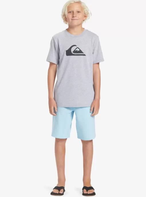 Boys Quiksilver Shorts | Boy'S 8-16 Ocean Elastic 18" Amphibian Boardshorts