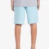 Boys Quiksilver Shorts | Boy'S 8-16 Ocean Elastic 18