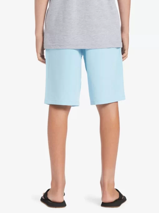 Boys Quiksilver Shorts | Boy'S 8-16 Ocean Elastic 18" Amphibian Boardshorts