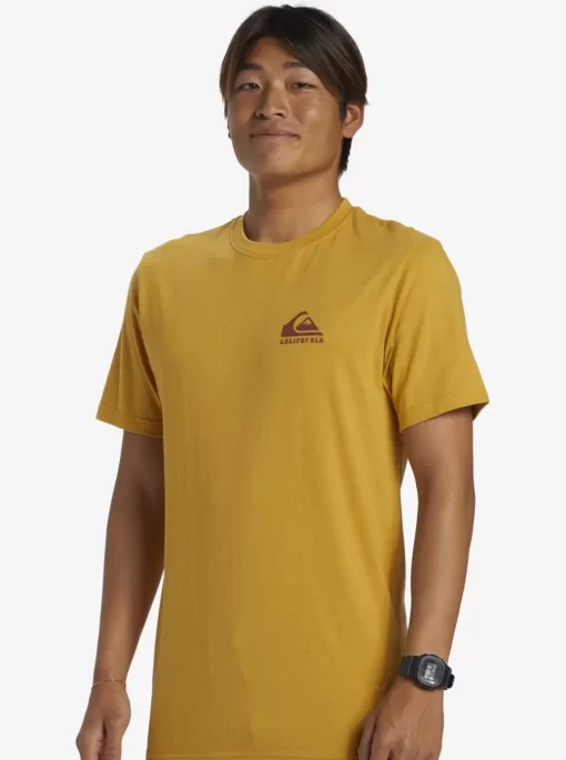 Mens Quiksilver Tees | Ca Point Breaks T-Shirt