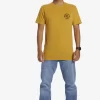 Mens Quiksilver Tees | Circled Script T-Shirt