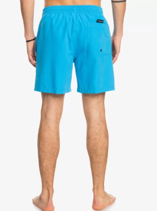 Mens Quiksilver Elastic Waist | Everyday 17" Volleys For Young Men