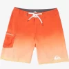 Mens Quiksilver Boardshorts | Everyday 20