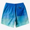Mens Quiksilver Elastic Waist | Everyday Breeze 17