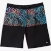 Mens Quiksilver Boardshorts | Everyday Division 20