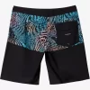 Mens Quiksilver Boardshorts | Everyday Division 20