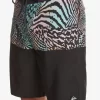 Mens Quiksilver Boardshorts | Everyday Division 20