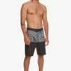 Mens Quiksilver Boardshorts | Everyday Division 20
