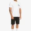 Mens Quiksilver Shorts & Amphibians | Everyday Union Stretch Chino 20