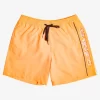 Mens Quiksilver Elastic Waist | Everyday Vert 16