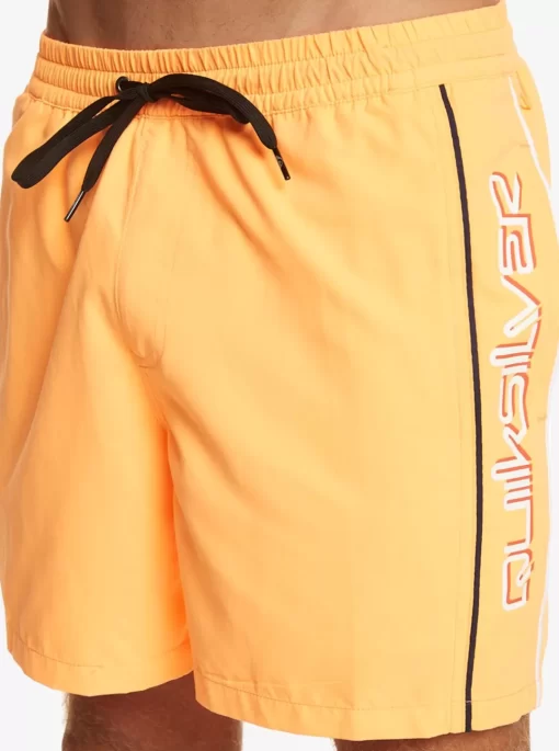 Mens Quiksilver Elastic Waist | Everyday Vert 16" Volleys