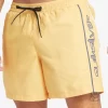 Mens Quiksilver Elastic Waist | Everyday Vert 16