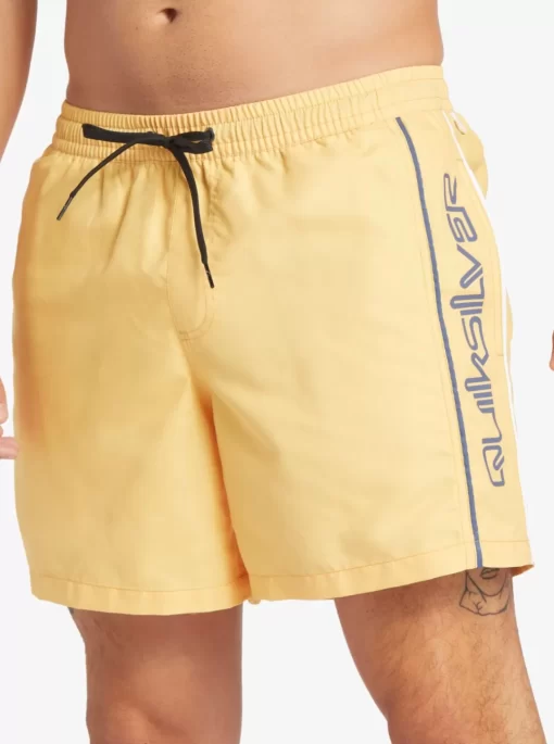 Mens Quiksilver Elastic Waist | Everyday Vert 16" Volleys