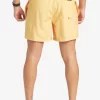 Mens Quiksilver Elastic Waist | Everyday Vert 16