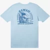 Mens Quiksilver Tees | Hi Natural Resources T-Shirt
