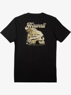 Mens Quiksilver Tees | Hi Water On The Brain T-Shirt