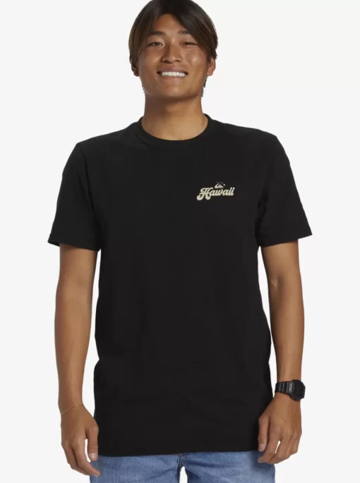 Mens Quiksilver Tees | Hi Water On The Brain T-Shirt