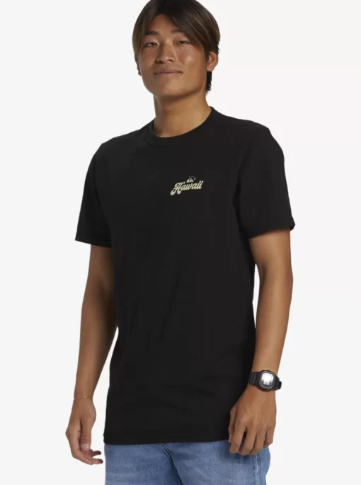 Mens Quiksilver Tees | Hi Water On The Brain T-Shirt