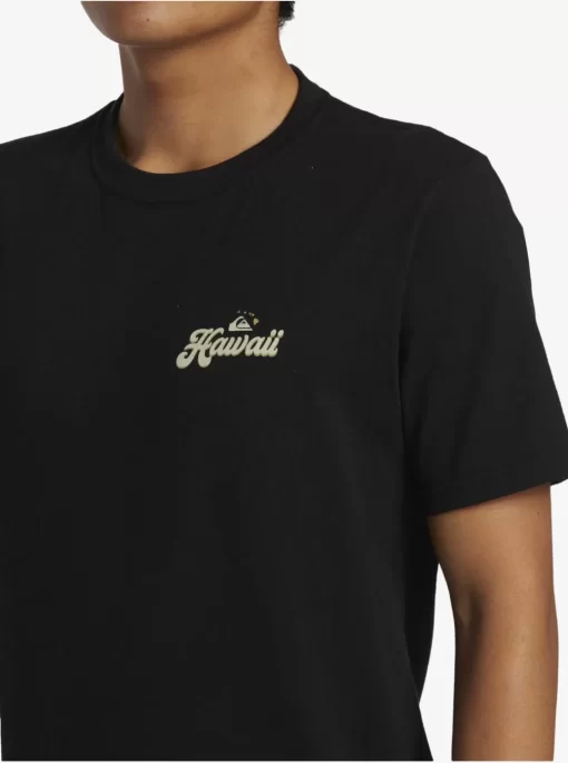 Mens Quiksilver Tees | Hi Water On The Brain T-Shirt