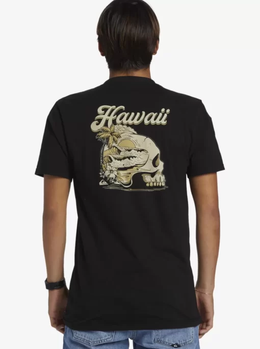 Mens Quiksilver Tees | Hi Water On The Brain T-Shirt