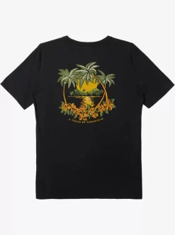 Mens Quiksilver Tees | Island Cap Mtz T-Shirt