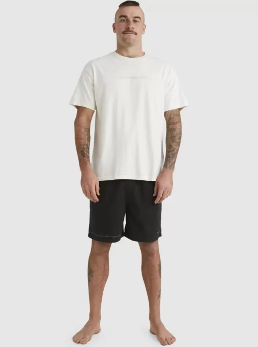 Mens Quiksilver Tees | Mikey T-Shirt