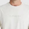 Mens Quiksilver Tees | Mikey T-Shirt