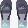 Mens Quiksilver Sandals | Molokai Swell Vision Flip-Flops