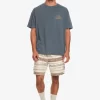 Mens Quiksilver Tees | Natural Vibe T-Shirt