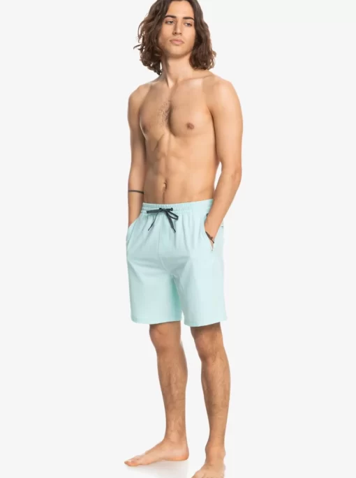 Mens Quiksilver Boardshorts | Ocean Elastic Waist 18" Amphibian Shorts