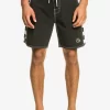 Mens Quiksilver Boardshorts | Original Arch 18