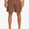 Mens Quiksilver Boardshorts | Original Arch Andy Y Andy 16
