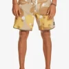 Mens Quiksilver Boardshorts | Original Scallop Andy Y Andy 18