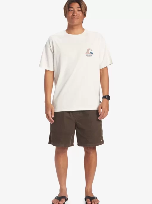 Mens Quiksilver Tees | Roadways Mnd T-Shirt