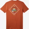 Mens Quiksilver Tees | Scenic View T-Shirt