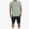 Mens Quiksilver Tees | Scenic View T-Shirt