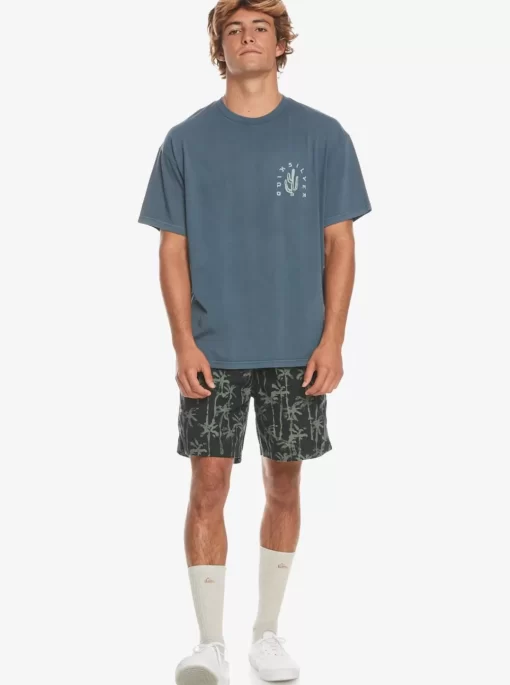 Mens Quiksilver Tees | Silver Lining T-Shirt
