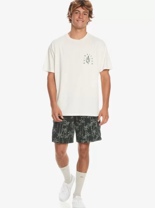 Mens Quiksilver Tees | Silver Lining T-Shirt