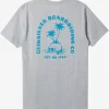 Mens Quiksilver Tees | Skull Island T-Shirt