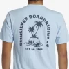 Mens Quiksilver Tees | Skull Island T-Shirt